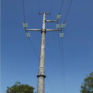 Galvanized tus kheej-Txhawb Nqa Cov Ntaus Cim Ncej GSM Monopole Ntauwd