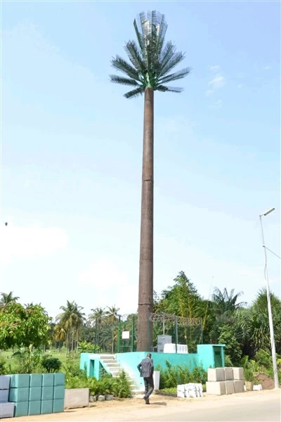 Artificial Bionic Ntoo lossis Nroj Tsuag Rau Landscaping Thiab Camouflaged Telecommunication Antenna Ntauwd Tsob Ntoo