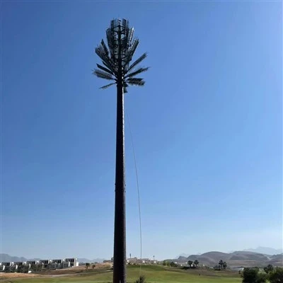 Artificial Palm Tree Camouflaged Palm Tree Bionic Palm Tree Ntauwd Rau Kho Kom Zoo Nkauj